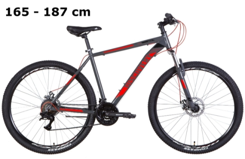 MTB Discovery Bastion 29 grey-red