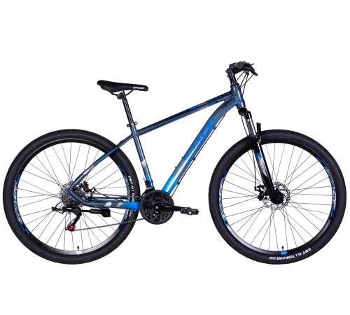MTB Space Mercury 29 grey-blue