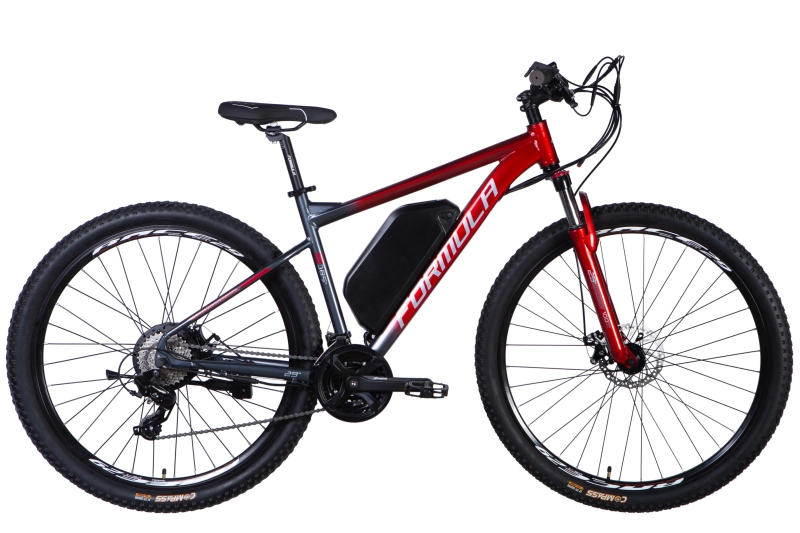 E-bike 29