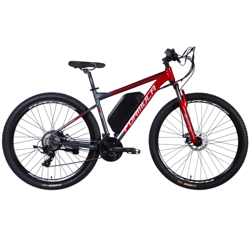 E-bike 29