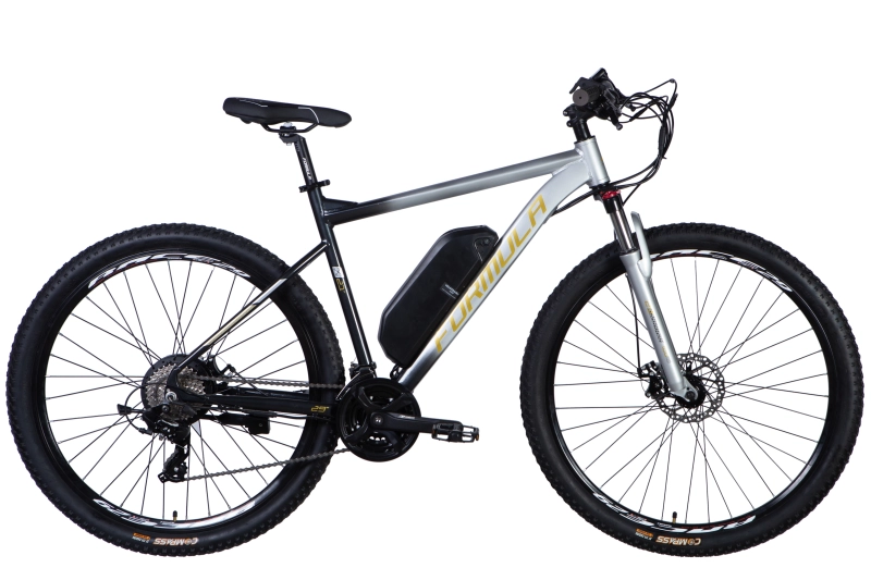 E-bike 29
