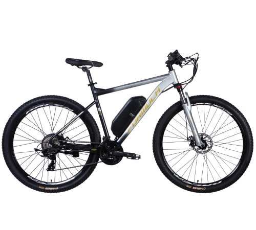 E-bike 29