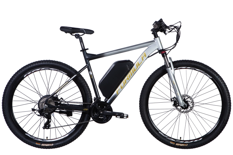 E-bike 29
