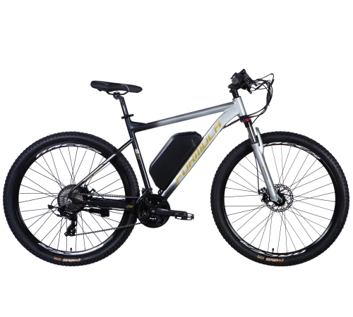 E-bike 29