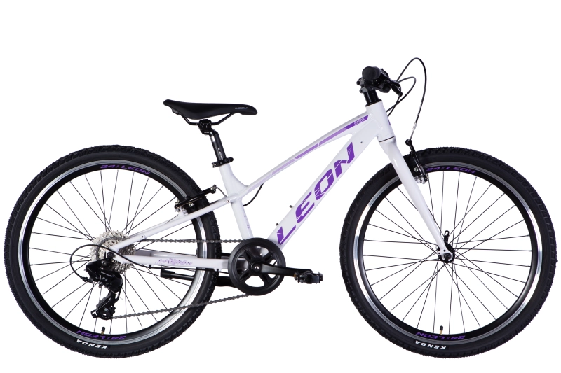 Bicycle AL 24