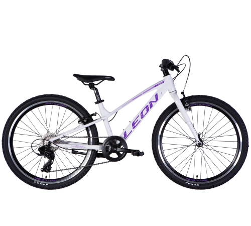 Bicycle AL 24